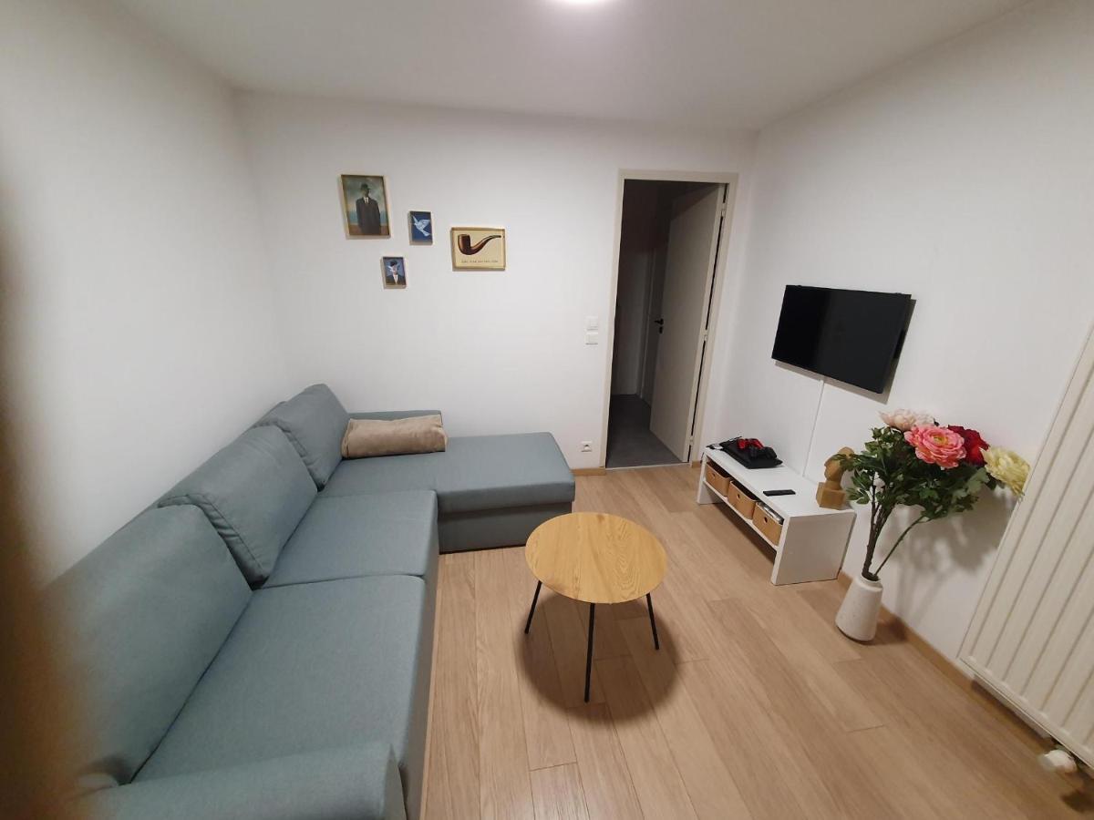 אוסטנדה Spacious Apartment With Sea View מראה חיצוני תמונה