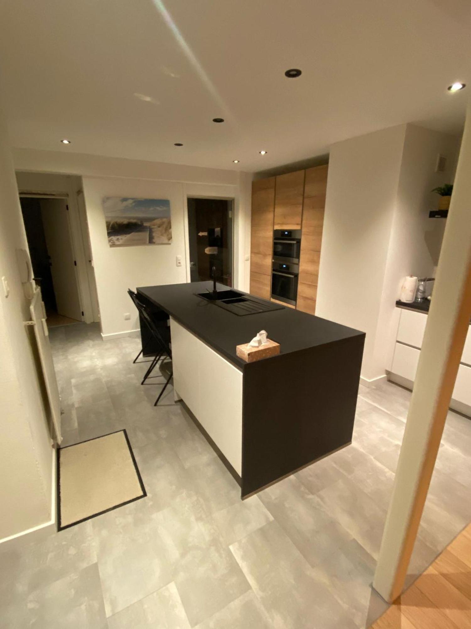 אוסטנדה Spacious Apartment With Sea View מראה חיצוני תמונה
